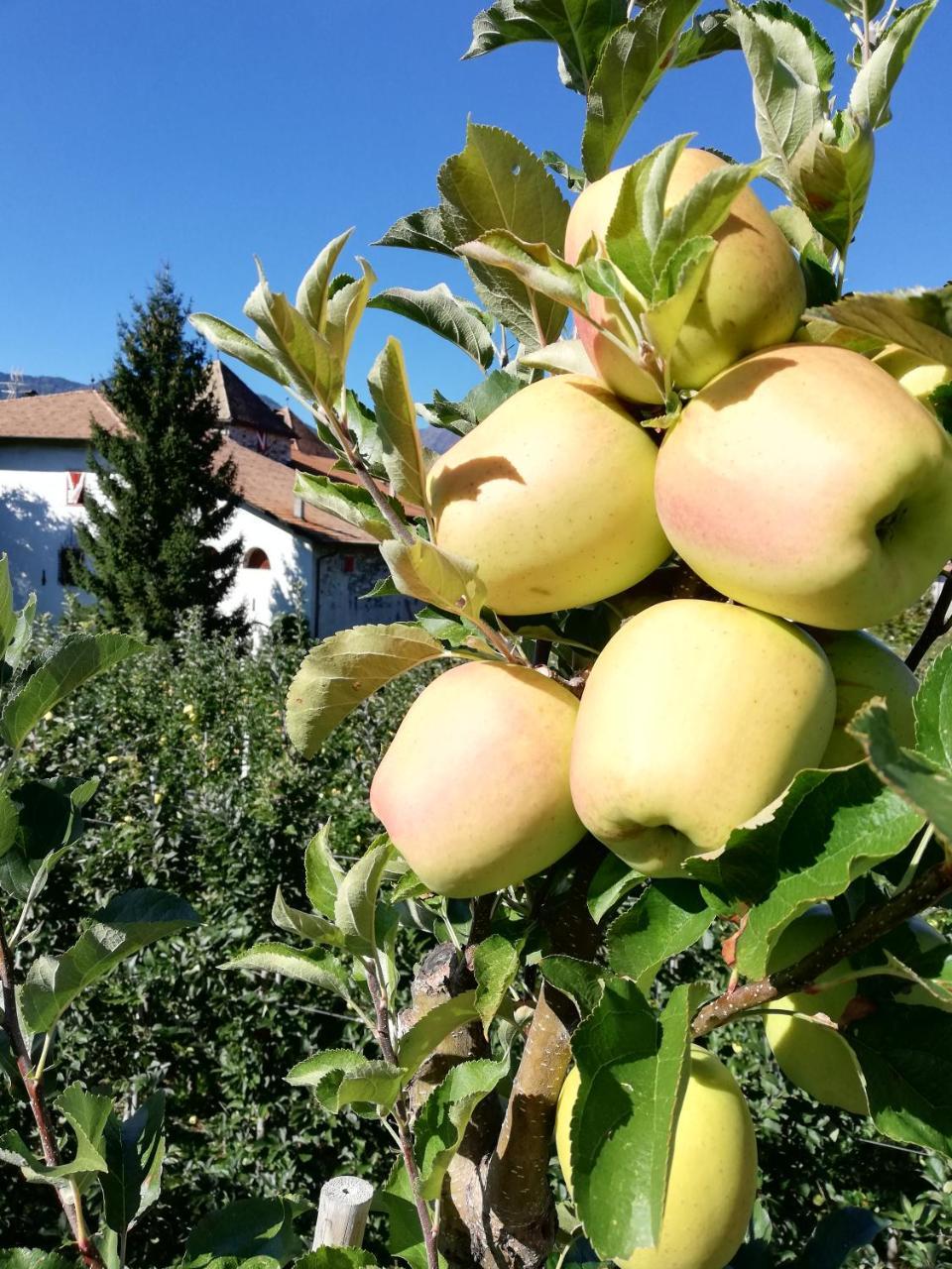 فيلا Agritur Ciastel سانزينو المظهر الخارجي الصورة